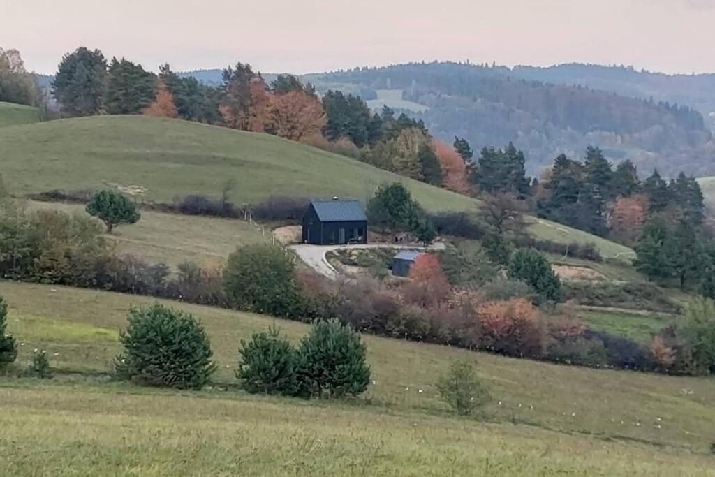 Bies I Czadek Zahoczewie